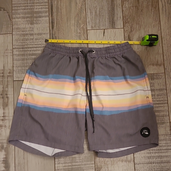 Men's Gray Swim Shorts with Multicolor Stripes - Picture 1 of 4